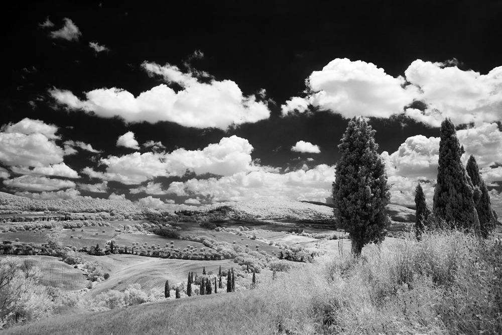 Matrimonio in Val D'Orcia 1
